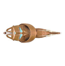 Load image into Gallery viewer, STAR TREK DISCOVERY Vulcan Cruiser Collectible Model
